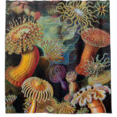 Die Kunst der Natur von Ernst Haeckel Duschvorhang (Vorderseite)
