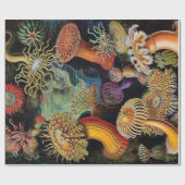 Die Kunst der Natur von Ernst Haeckel Geschenkpapier (Flach)