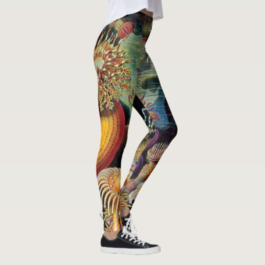 Die Kunst der Natur von Ernst Haeckel Leggings (Rechts)