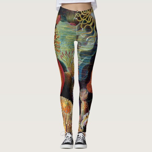 Die Kunst der Natur von Ernst Haeckel Leggings (Vorderseite)