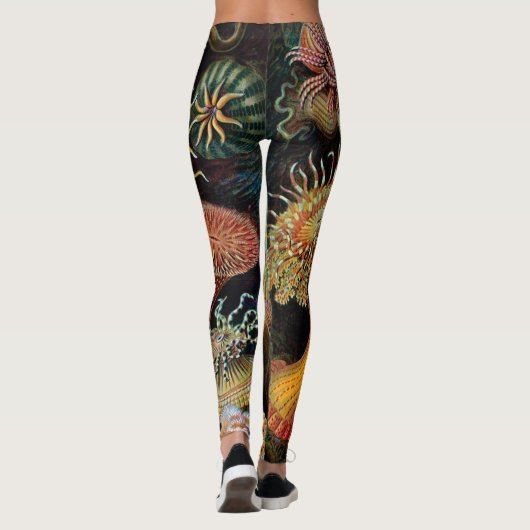 Die Kunst der Natur von Ernst Haeckel Leggings (Rückseite)