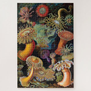 Die Kunst der Natur von Ernst Haeckel Puzzle