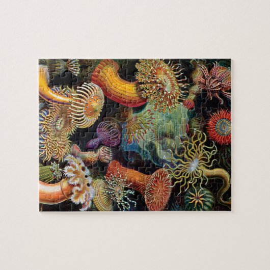 Die Kunst der Natur von Ernst Haeckel Puzzle (Horizontal)