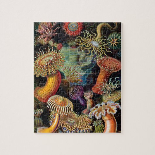 Die Kunst der Natur von Ernst Haeckel Puzzle (Vertikal)