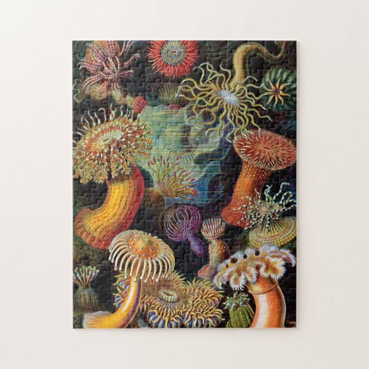 Die Kunst der Natur von Ernst Haeckel Puzzle (Vertikal)