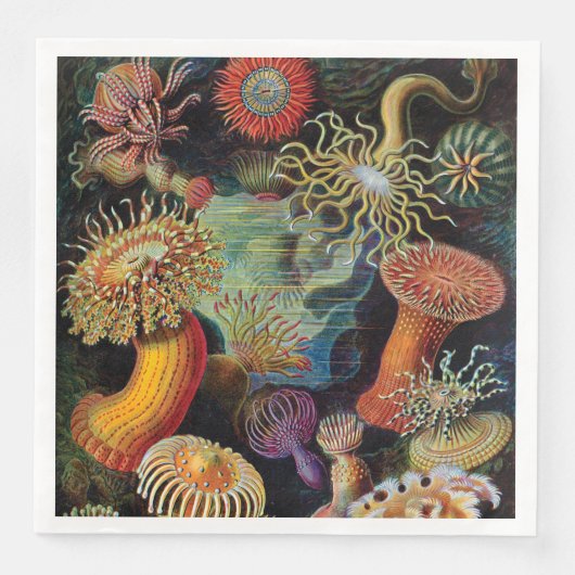 Die Kunst der Natur von Ernst Haeckel Serviette (Vorderseite)