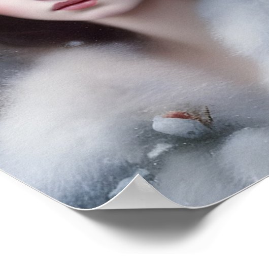 Die Kunst der Schneekönigin Poster (Ecke)