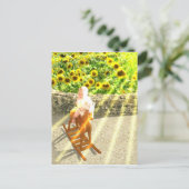 Die Kunst der Sun Tarot Card Postkarte (Stehend Vorderseite)