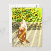 Die Kunst der Sun Tarot Card Postkarte (Vorne/Hinten)