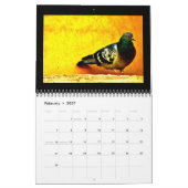 Die Kunst der Tauben Kalender (Feb 2027)