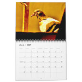 Die Kunst der Tauben Kalender (Mär 2027)
