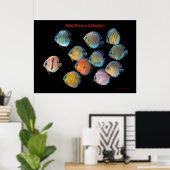 Die Kunst der wilden Diskussion Poster (Heimbüro)