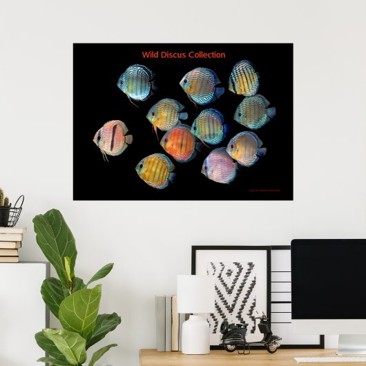 Die Kunst der wilden Diskussion Poster (Heimbüro)