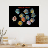 Die Kunst der wilden Diskussion Poster (Küche)