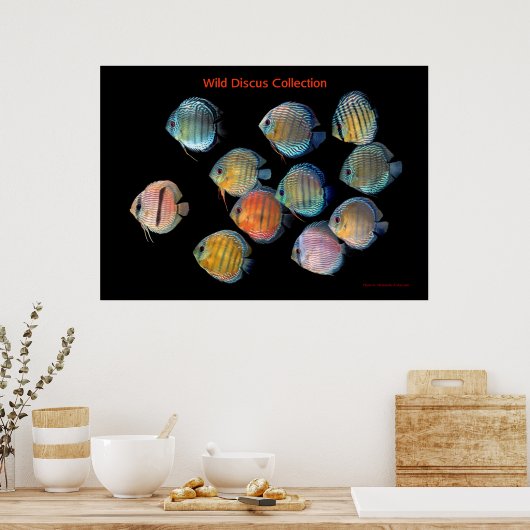 Die Kunst der wilden Diskussion Poster (Küche)