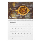 Die Kunst der Wissenschaft #3 Kalender (Jan 2027)