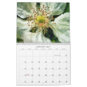 Die Kunst des Blumenkalenders Blume Kalender (Jan 2027)