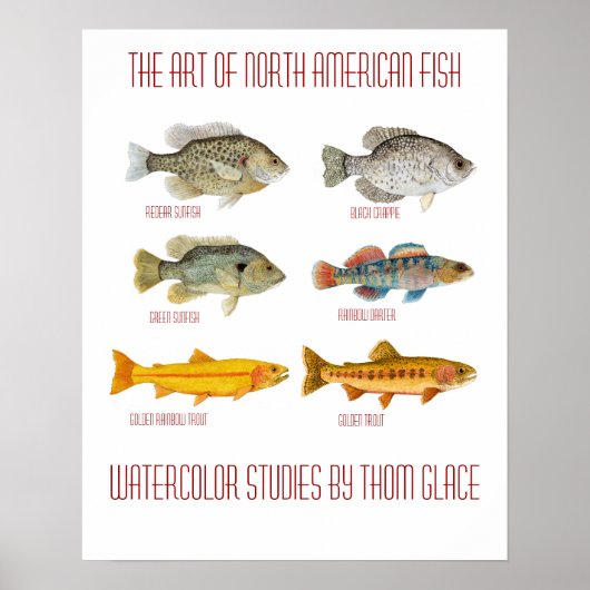 Die Kunst des nordamerikanischen Fisches Poster (Vorne)