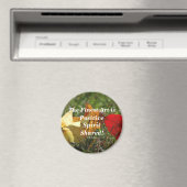 Die Kunst des "positiven Geistes" rund um das Magn Magnet (In Situ (Geschirrspüler))