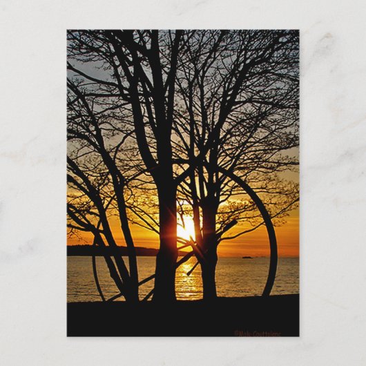 Die Kunst Postkarte (Vorderseite)