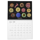 Die Kunst von Medizin Kalender (Mär 2027)