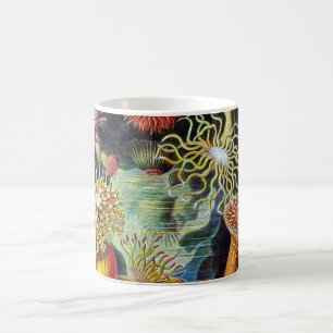 Die Kunstformen der Natur von Ernst Haeckel Kaffeetasse