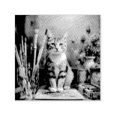 Die künstlerische Katze Permastempel (Design)