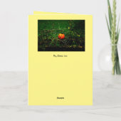 Die Kürbisparade Feiertagskarte (Rückseite)