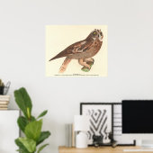 Die Kurze Eule (Otus palustris) New York Bird Poster (Heimbüro)