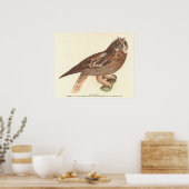 Die Kurze Eule (Otus palustris) New York Bird Poster (Küche)