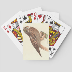 Die Kurze Eule (Otus palustris) New York Bird Spielkarten