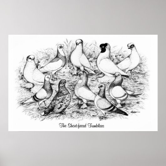 Die Kurzen Tumbler Poster (Vorne)