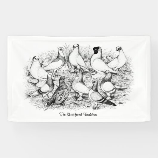 Die Kurzen Tumbler-Tauben Banner (Horizontal)