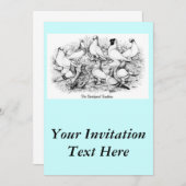 Die Kurzen Tumbler-Tauben Einladung (Vorne/Hinten)