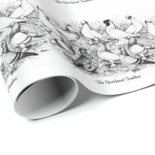Die Kurzen Tumbler-Tauben Geschenkpapier