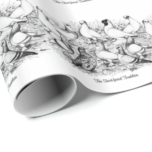 Die Kurzen Tumbler-Tauben Geschenkpapier (Rolleneckpunkt)