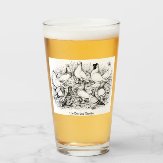 Die Kurzen Tumbler-Tauben Glas (Vorne (Gefüllt))