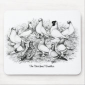 Die Kurzen Tumbler-Tauben Mousepad (Vorne)