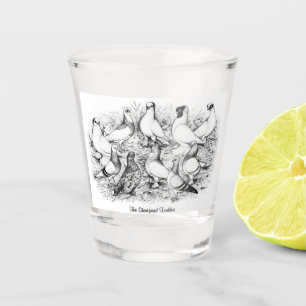 Die Kurzen Tumbler-Tauben Schnapsglas