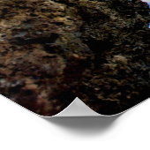 Die Küste des tropischen Strandes mit dem großen F Poster (Ecke)