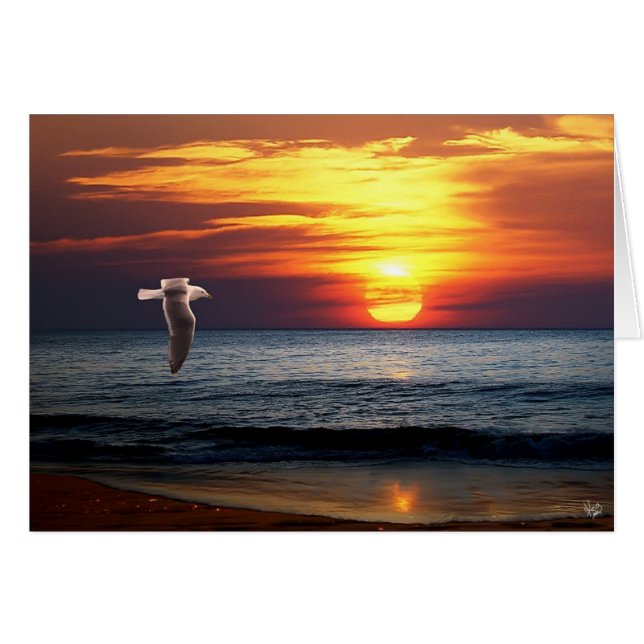 Die Küste entlangfahren (Vorderseite (Horizontal))