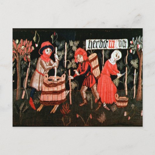 Die Labors der Monate, aus dem Elsass Postkarte (Vorderseite)