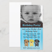 Die Labradors Blue Birthday Einladung (Vorne/Hinten)