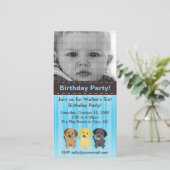 Die Labradors Blue Birthday Einladung (Stehend Vorderseite)