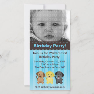 Die Labradors Blue Birthday Einladung