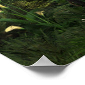 Die Lady der Laternen Print Poster (Ecke)