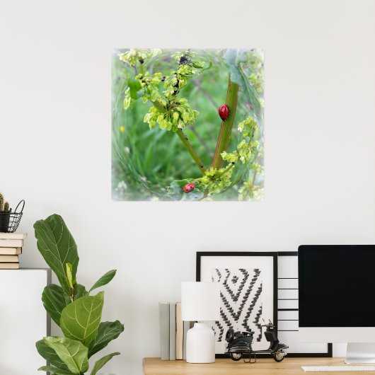 die Ladybugs Poster (Heimbüro)