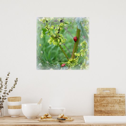 die Ladybugs Poster (Küche)