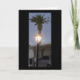 Die Lampe und die Palme 🌴 Karte