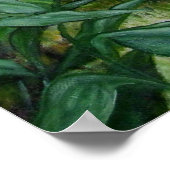 Die Lanai Poster (Ecke)